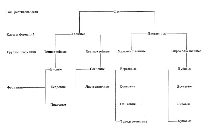 online Технологическое оборудование