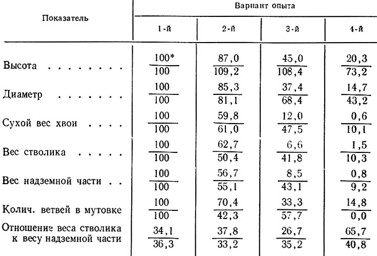 Таблица 4. Морфометрические показатели саженцев сосны обыкновенной (данные 1976 г.) и кедра сибирского (данные 1979 г.), % к контролю