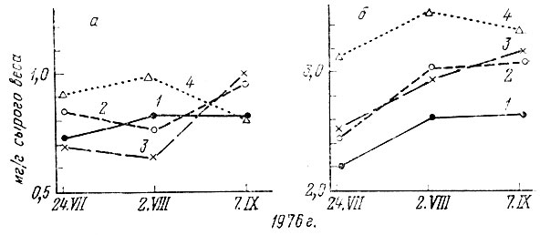 Рис. 1. Влияние степени освещенности на содержание пигментов в хвое (1976 г. образования) саженцев кедра. 2 - каротиноиды; б - сумма хлорофиллов. 1-4 - варианты опыта