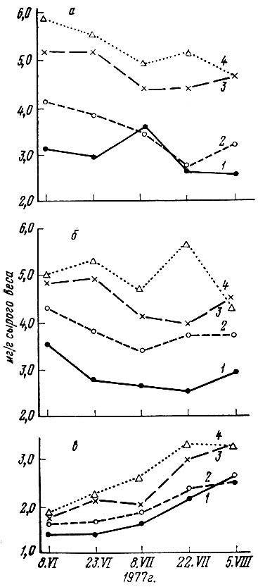 Рис. 2. Влияние степени освещенности на содержание суммы хлорофиллов в хвое саженцев кедра. а - хвоя трехлетняя; б - двухлетняя; в - однолетняя. 1-4 - варианты опыта