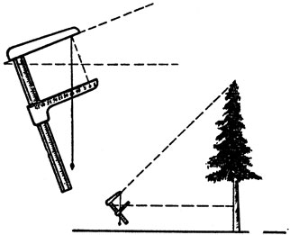 Рис. 24. Измерение высоты дерева с помощью вешек с помощью мерной вилки