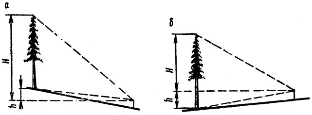Рис. 25. Измерение высоты дерева эклиметром (высотомером) в пересеченной местности при положении наблюдателя: а - ниже основания дерева; б - выше основания дерева