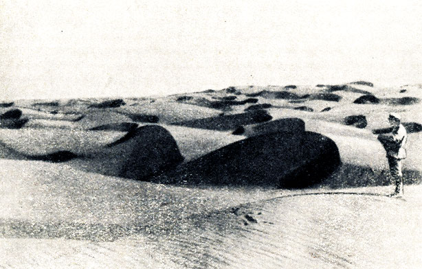 Рис. 120. Летучие пески в Средней Азии