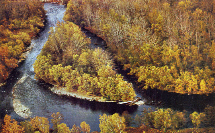 Водоохранные леса на реке Быстрая (Камчатка).